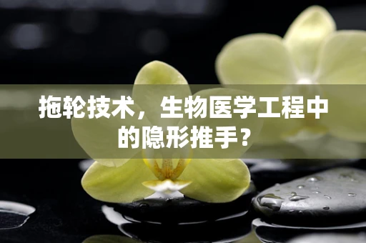 拖轮技术，生物医学工程中的隐形推手？