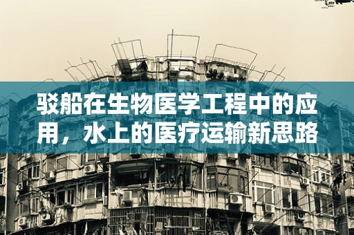 驳船在生物医学工程中的应用，水上的医疗运输新思路？