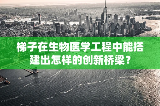 梯子在生物医学工程中能搭建出怎样的创新桥梁？