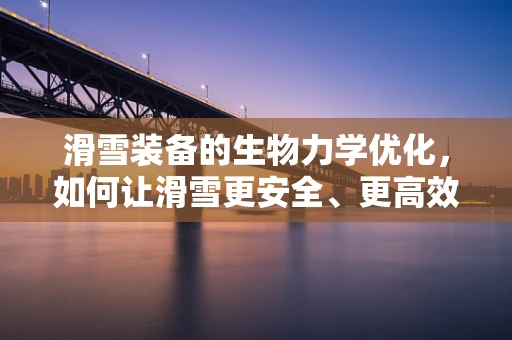 滑雪装备的生物力学优化，如何让滑雪更安全、更高效？