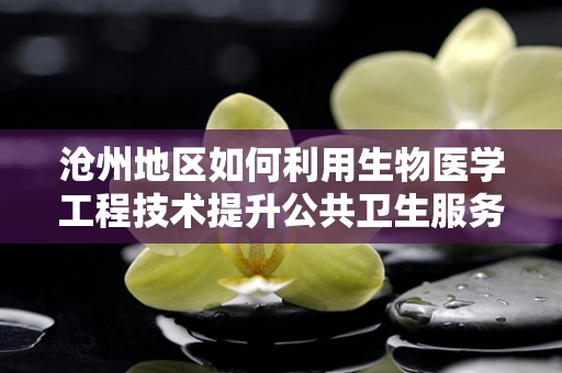 沧州地区如何利用生物医学工程技术提升公共卫生服务？