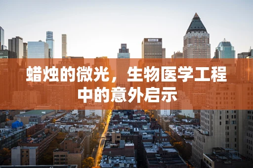 蜡烛的微光，生物医学工程中的意外启示
