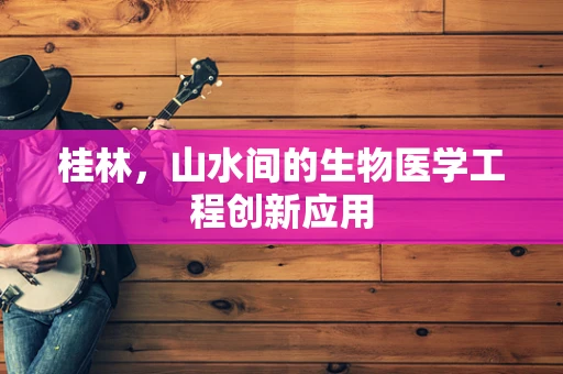 桂林，山水间的生物医学工程创新应用