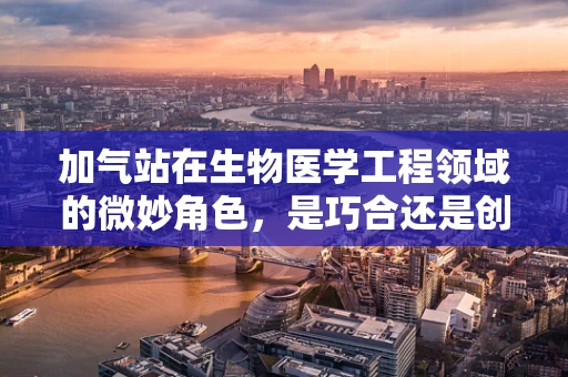 加气站在生物医学工程领域的微妙角色，是巧合还是创新？
