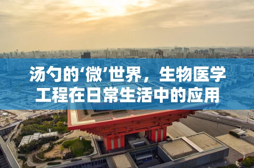 汤勺的‘微’世界，生物医学工程在日常生活中的应用