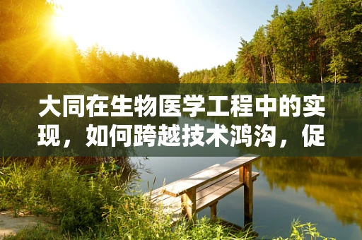 大同在生物医学工程中的实现，如何跨越技术鸿沟，促进全球医疗平等？