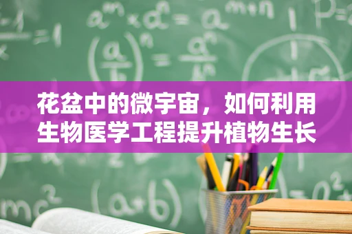 花盆中的微宇宙，如何利用生物医学工程提升植物生长？