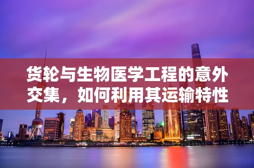 货轮与生物医学工程的意外交集，如何利用其运输特性优化医疗物资配送？