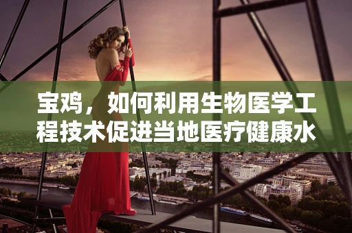 宝鸡，如何利用生物医学工程技术促进当地医疗健康水平？