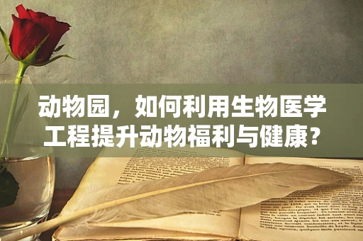 动物园，如何利用生物医学工程提升动物福利与健康？