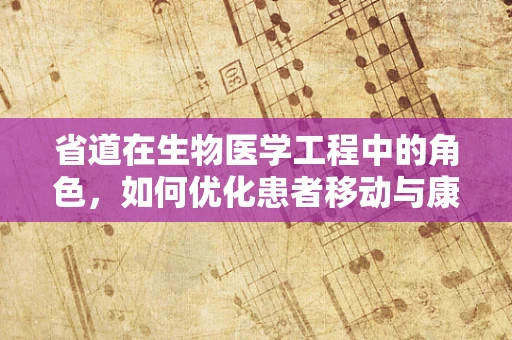 省道在生物医学工程中的角色，如何优化患者移动与康复的‘生命通道’？