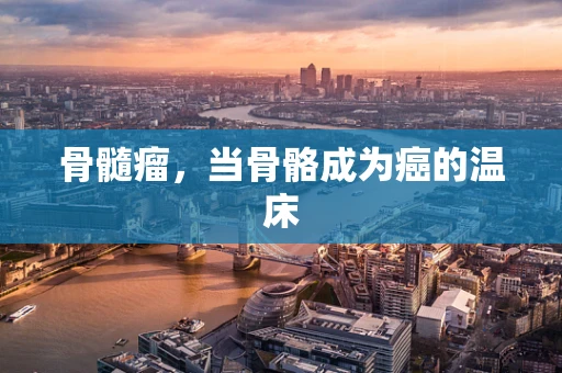 骨髓瘤，当骨骼成为癌的温床