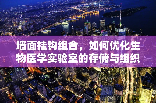 墙面挂钩组合，如何优化生物医学实验室的存储与组织？