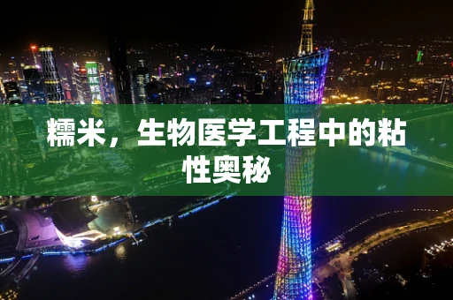 糯米，生物医学工程中的粘性奥秘