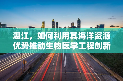 湛江，如何利用其海洋资源优势推动生物医学工程创新？