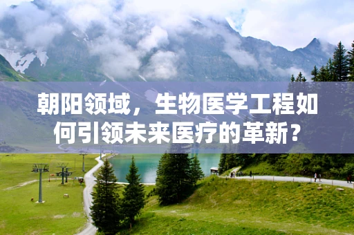 朝阳领域，生物医学工程如何引领未来医疗的革新？