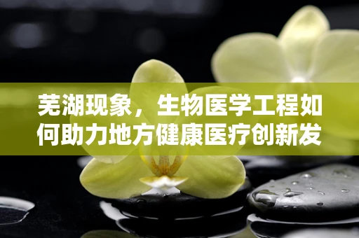 芜湖现象，生物医学工程如何助力地方健康医疗创新发展？