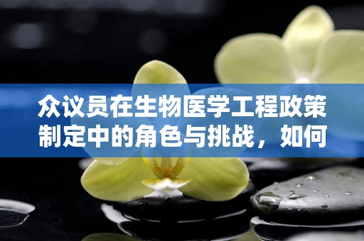 众议员在生物医学工程政策制定中的角色与挑战，如何平衡创新与监管？