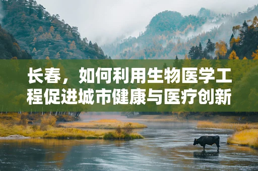 长春，如何利用生物医学工程促进城市健康与医疗创新？