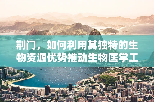 荆门，如何利用其独特的生物资源优势推动生物医学工程创新？
