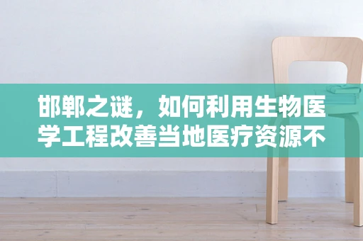 邯郸之谜，如何利用生物医学工程改善当地医疗资源不均？