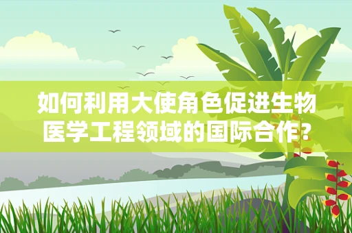如何利用大使角色促进生物医学工程领域的国际合作？