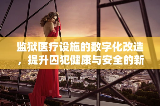 监狱医疗设施的数字化改造，提升囚犯健康与安全的新路径？