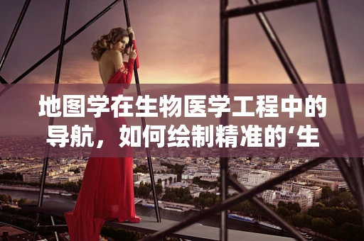 地图学在生物医学工程中的导航，如何绘制精准的‘生命轨迹’？