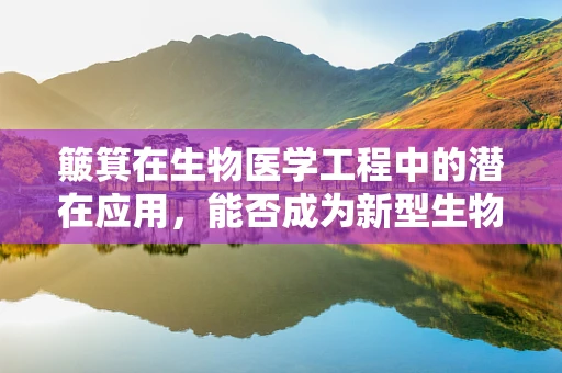 簸箕在生物医学工程中的潜在应用，能否成为新型生物样本处理工具？