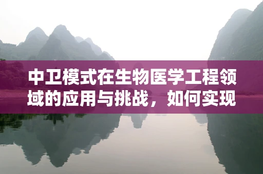 中卫模式在生物医学工程领域的应用与挑战，如何实现医疗资源的均衡分配？