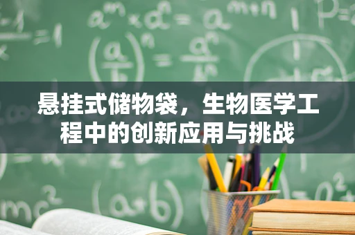 悬挂式储物袋，生物医学工程中的创新应用与挑战