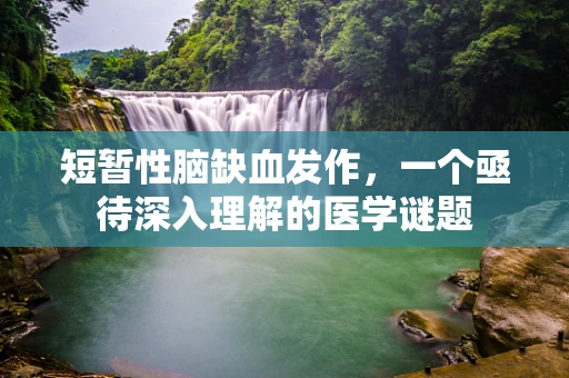 短暂性脑缺血发作，一个亟待深入理解的医学谜题