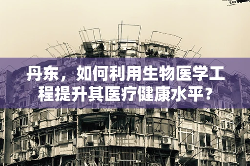 丹东，如何利用生物医学工程提升其医疗健康水平？