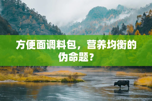 方便面调料包，营养均衡的伪命题？