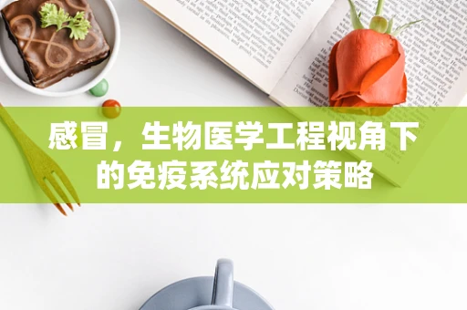 感冒，生物医学工程视角下的免疫系统应对策略