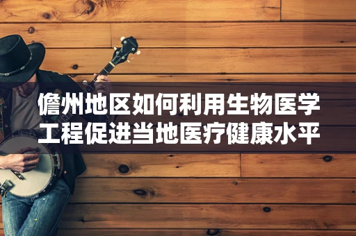 儋州地区如何利用生物医学工程促进当地医疗健康水平提升？
