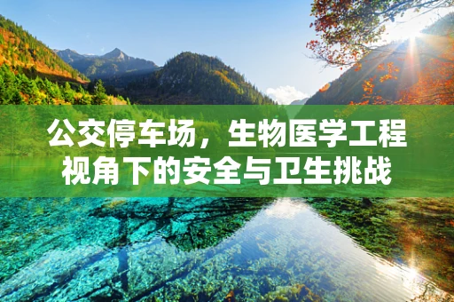 公交停车场，生物医学工程视角下的安全与卫生挑战