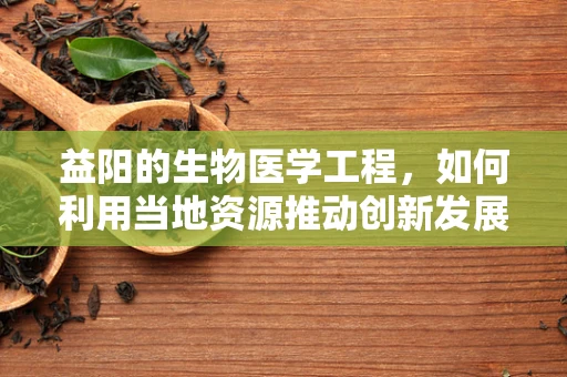益阳的生物医学工程，如何利用当地资源推动创新发展？