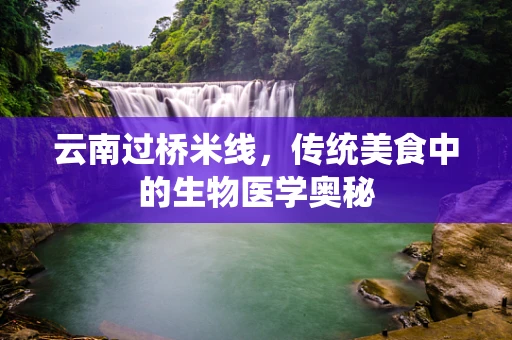 云南过桥米线，传统美食中的生物医学奥秘