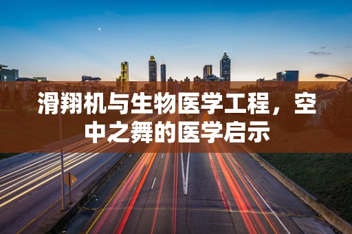 滑翔机与生物医学工程，空中之舞的医学启示