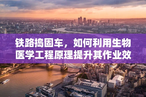 铁路捣固车，如何利用生物医学工程原理提升其作业效率与安全性？