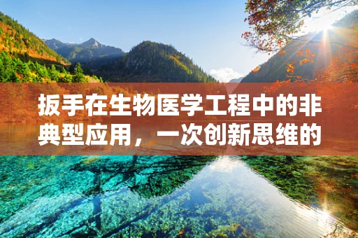 扳手在生物医学工程中的非典型应用，一次创新思维的实践