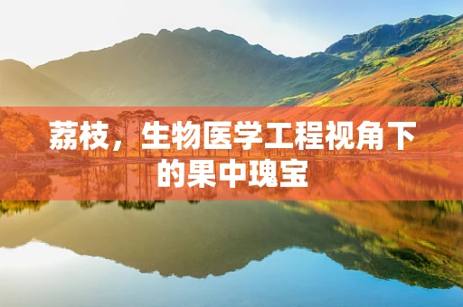 荔枝，生物医学工程视角下的果中瑰宝