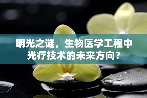 明光之谜，生物医学工程中光疗技术的未来方向？