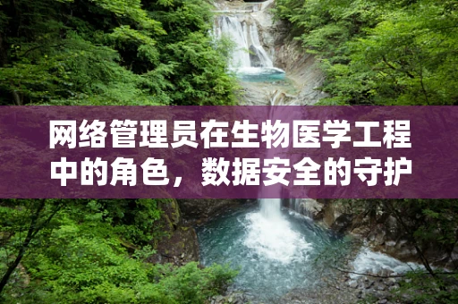 网络管理员在生物医学工程中的角色，数据安全的守护者？