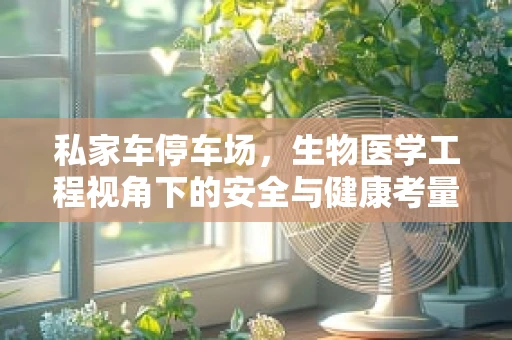 私家车停车场，生物医学工程视角下的安全与健康考量