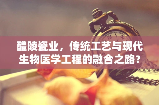 醴陵瓷业，传统工艺与现代生物医学工程的融合之路？