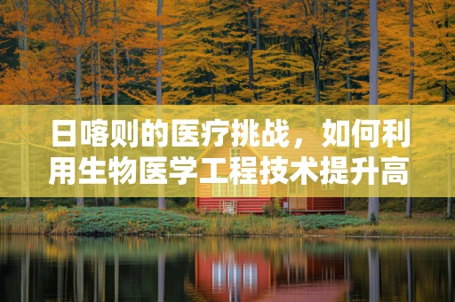 日喀则的医疗挑战，如何利用生物医学工程技术提升高原健康保障？