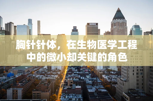 胸针针体，在生物医学工程中的微小却关键的角色