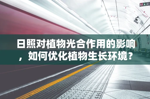 日照对植物光合作用的影响，如何优化植物生长环境？